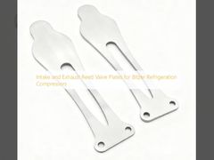 Plat katup batang masuk dan keluar untuk kompresor pendingin Bitzer