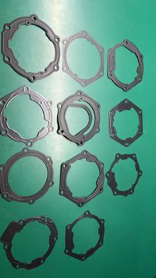 OEM ODM Automotive Door Gasket Untuk sertifikat ISO BYD E5