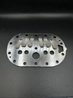 Rakitan Pelat Katup untuk Kompresor Semi-Hermetik Bitzer 4FE-25Y 4FE-35Y 6FE-44Y 6FE-50Y-40P 82mm Bore