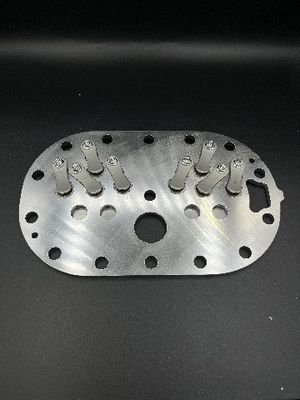 Plat katup khusus untuk aplikasi industri Kompresor Plate Valve