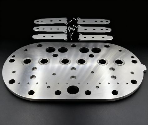 15P Copeland Kompresor pendingin Piring klep perakitan & Klep Reeds untuk Cold Storage Freezer