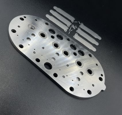 15P Copeland Kompresor pendingin Piring klep perakitan & Klep Reeds untuk Cold Storage Freezer